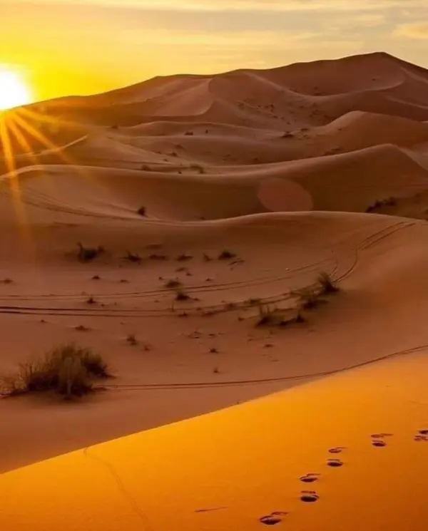 كثبان رملية ذهبية عند غروب الشمس